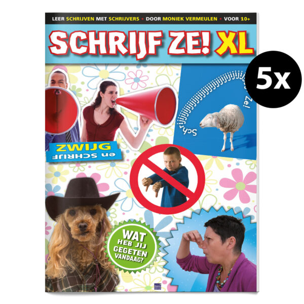 Schrijf ze!  10+ werkboek (5 ex)